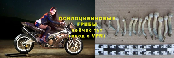 бутират Арсеньев