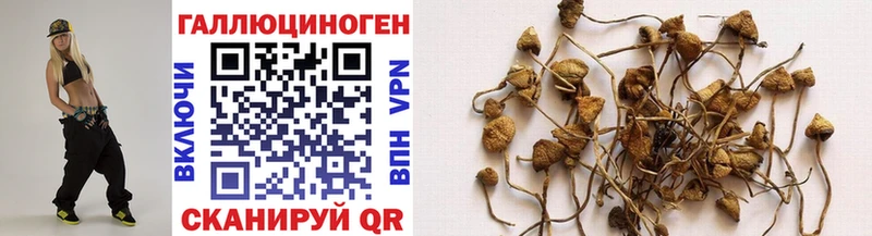 Галлюциногенные грибы мухоморы  Кукмор 